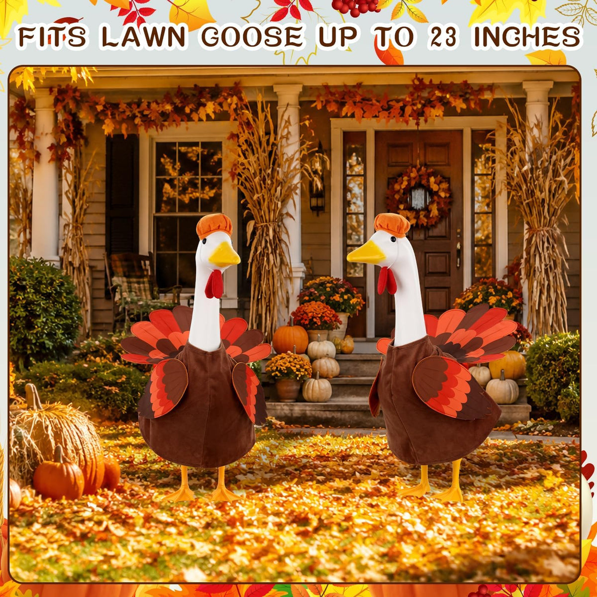 Thanksgiving Turkey Porch Goose Costume