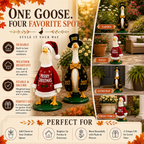 Christmas Porch Goose Outfit